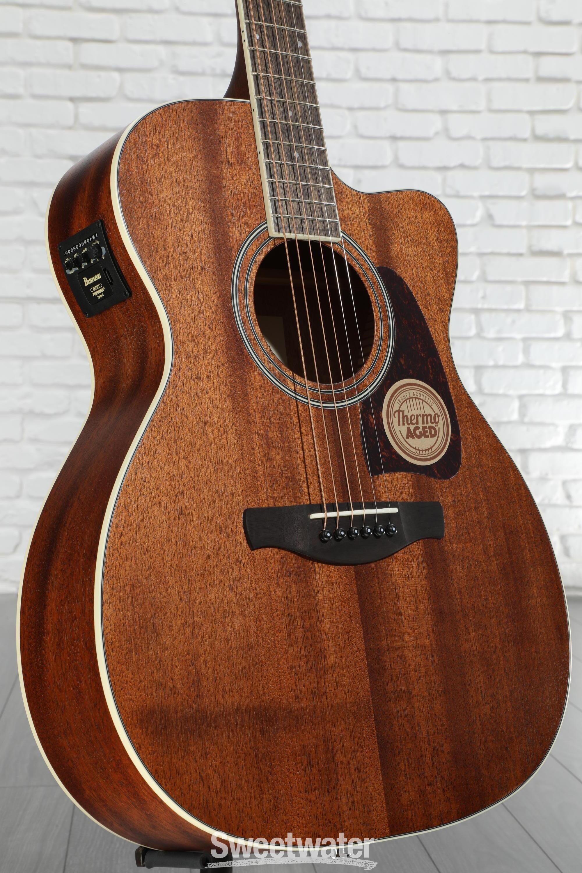 Ibanez Acoustic / Electric Guitars - Sweetwater