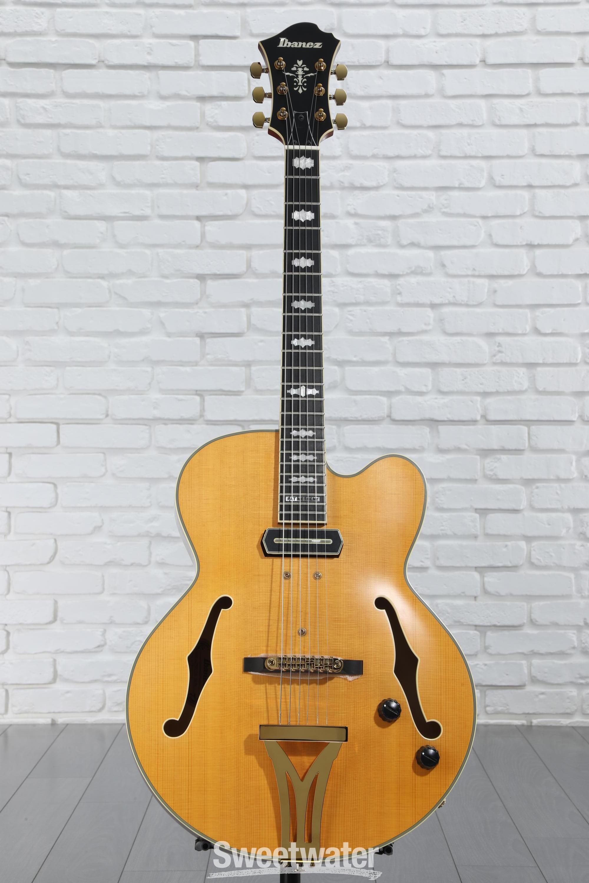 Ibanez PM3C Pat Metheny Signature Hollowbody Electric Guitar