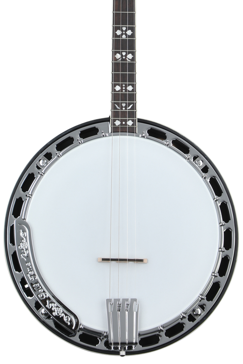 Gold Tone TS-250 Tenor Special Banjo - Vintage Brown | Sweetwater