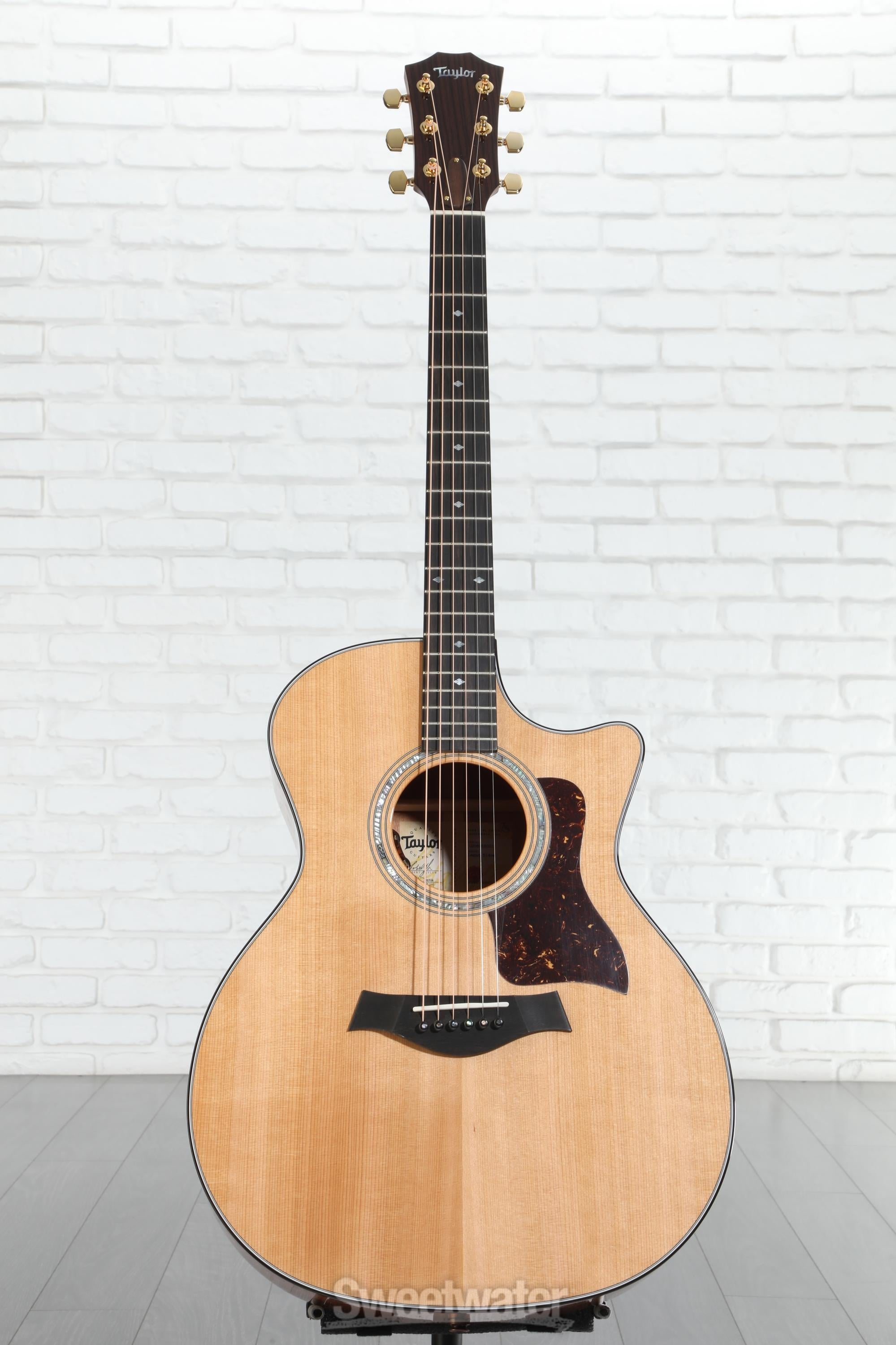 ギター Taylor 514CE Taylor 514ce Acoustic Guitar | Palmer Music Company
