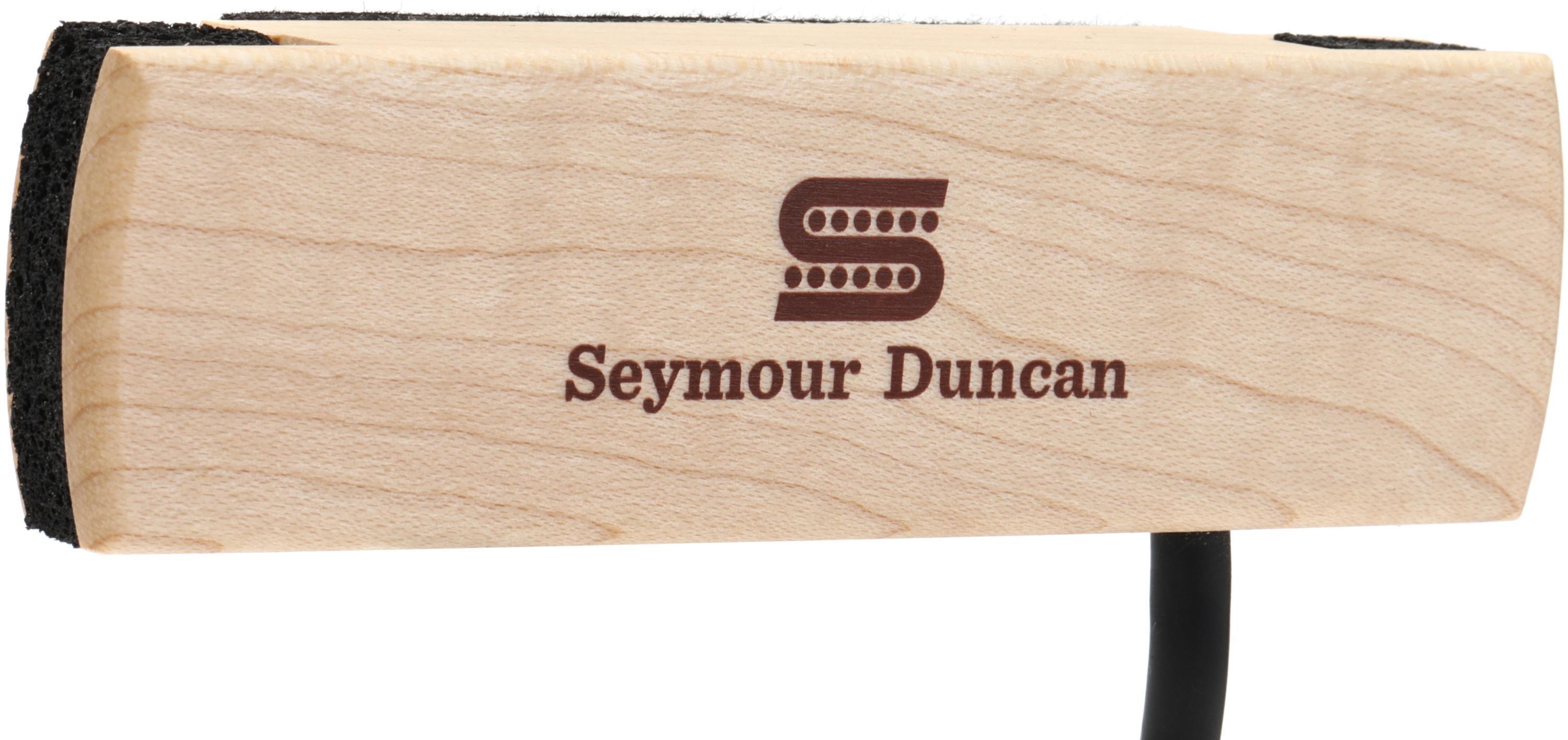 DiMarzio DP138 Virtual Acoustic Soundhole Pickup | Sweetwater