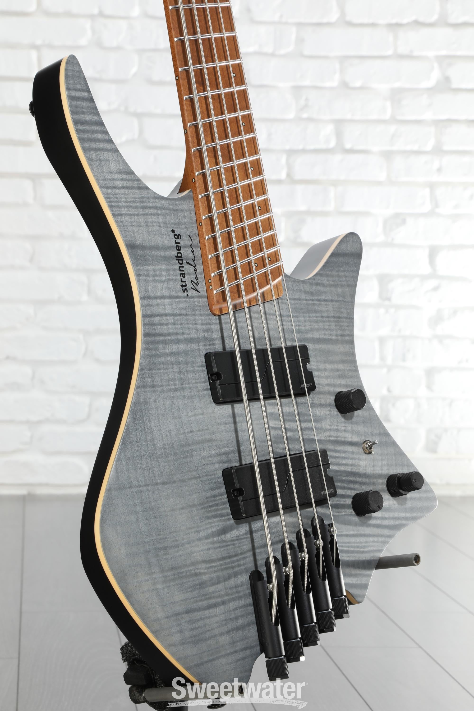 み*み様 strandberg Boden frog 5 Bass み*み様 strandberg Boden frog 5 Bass 5-String | strandberg* Guitars,