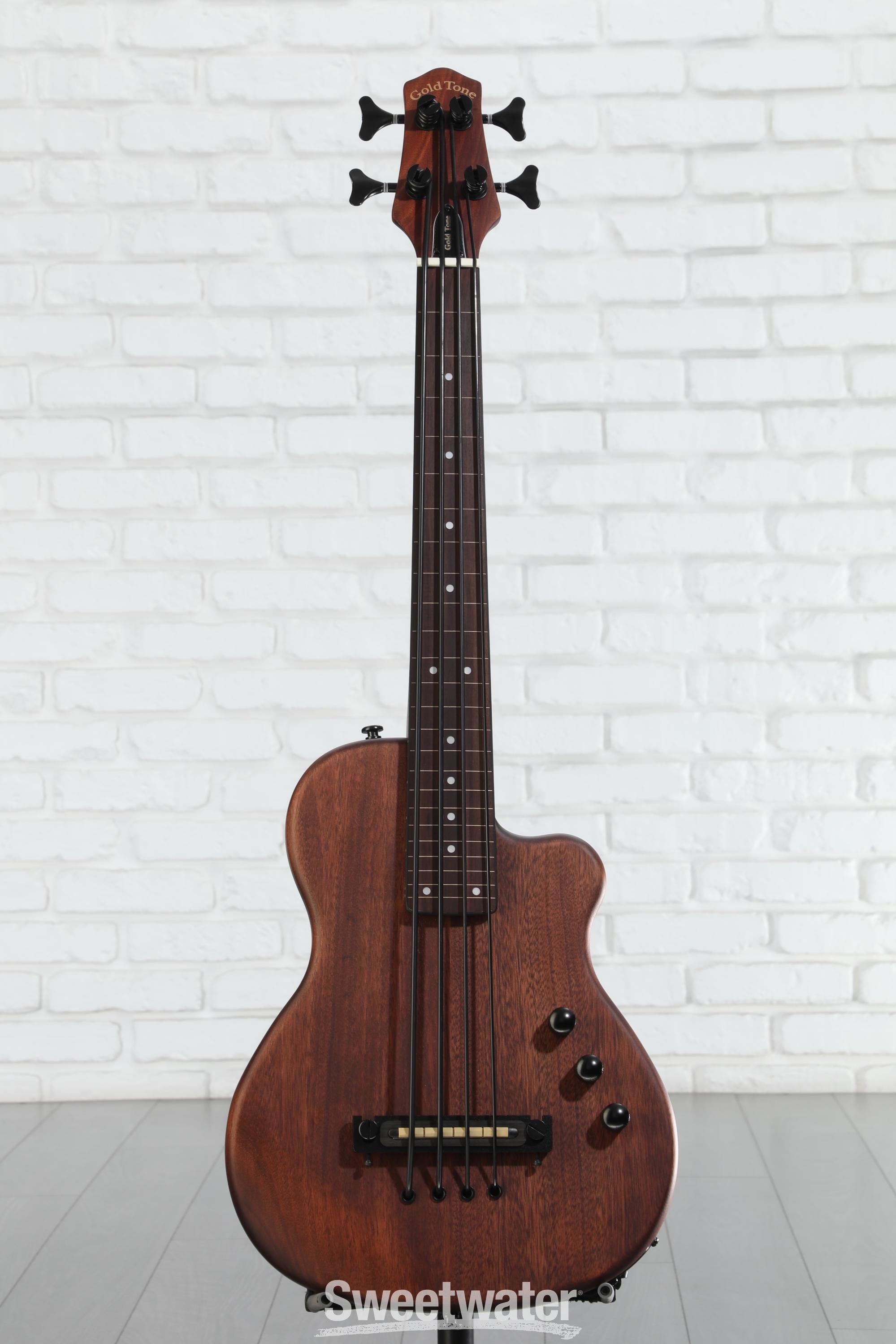 Gold Tone ME-BassFL 23-inch Scale Fretless Electric MicroBass - Natural