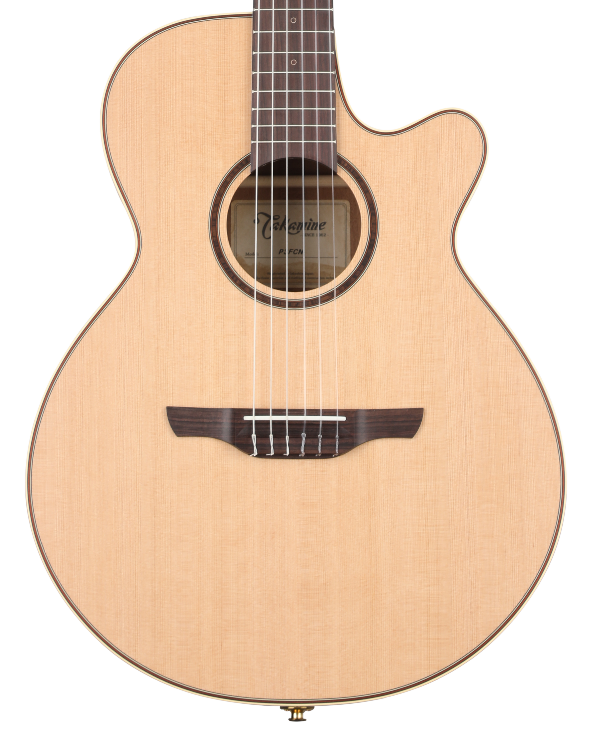 TAKAMINE P3FCN エレガットギター美品 P3FCN｜ワールド・スタンダード・シリーズ｜高峰楽器製作所