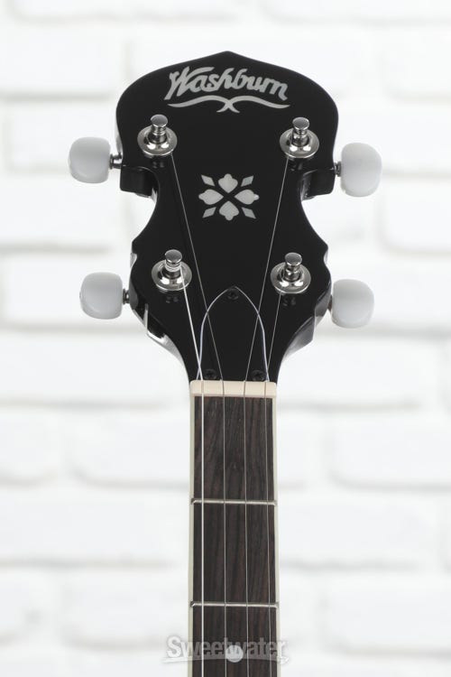 Washburn Americana B9 5-string Resonator Banjo