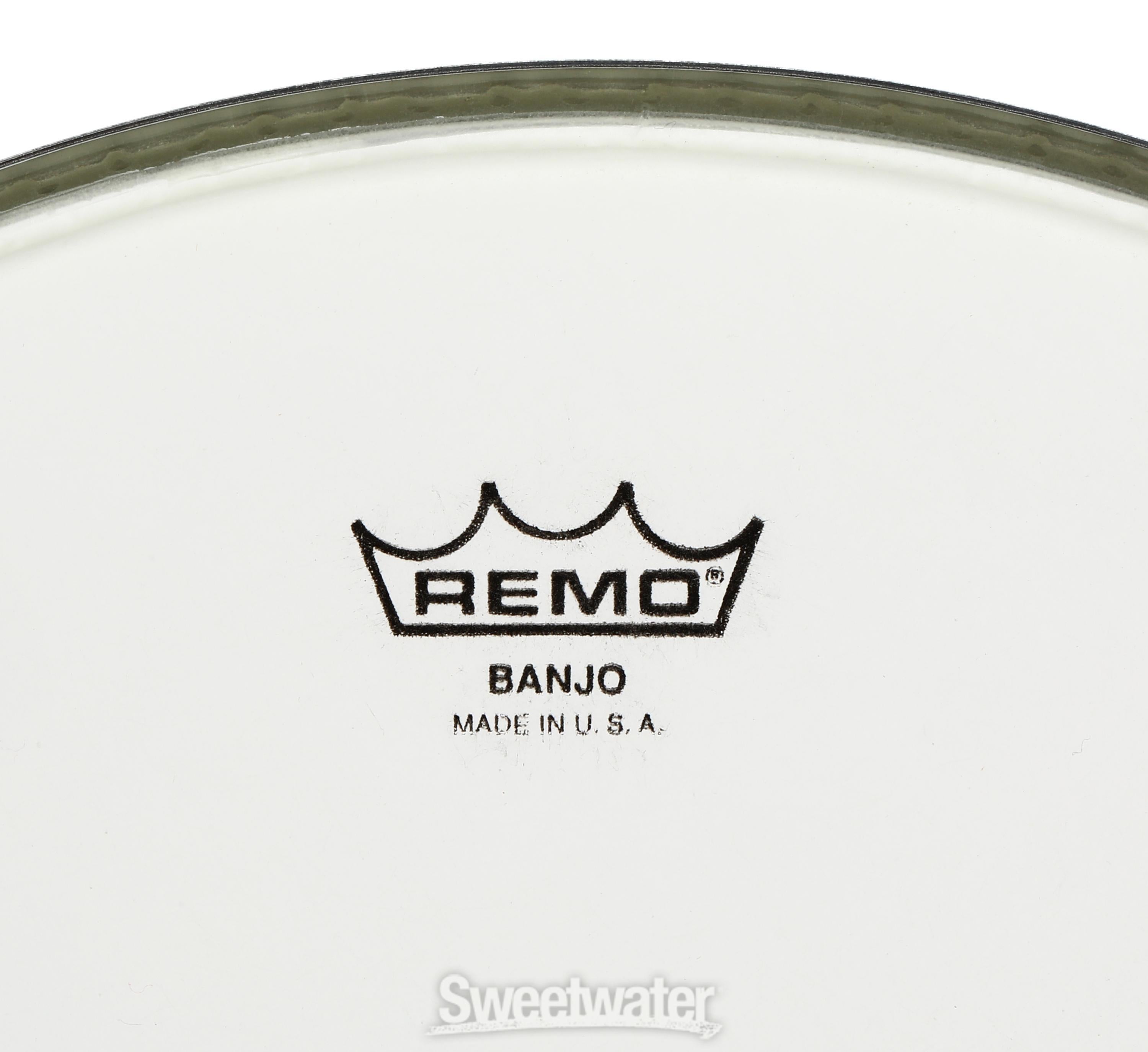 Remo renaissance store banjo head