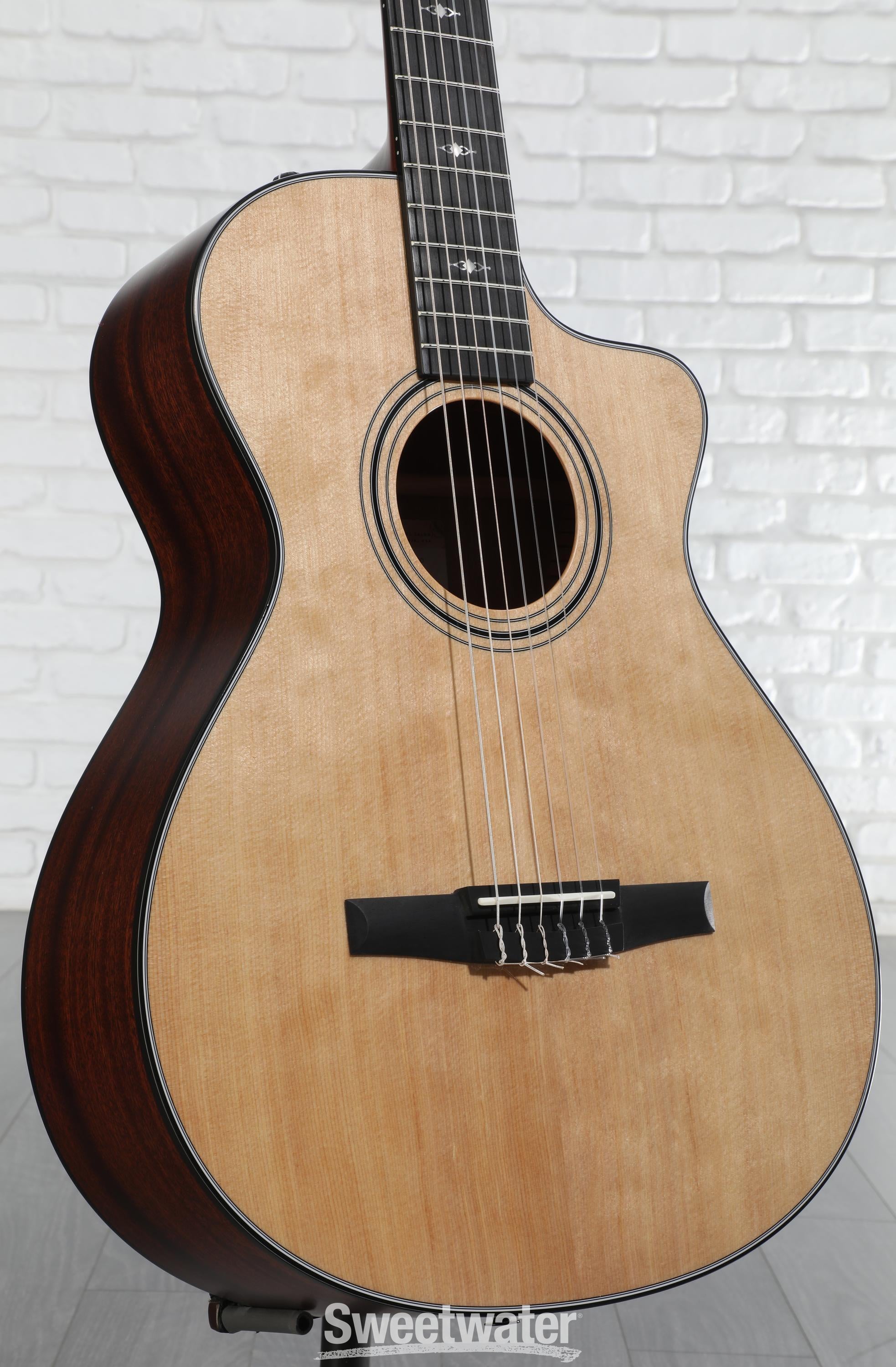 ギター Taylor 312 ce Taylor 50th Anniversary 312ce LTD - Sitka Spruce & Sapele