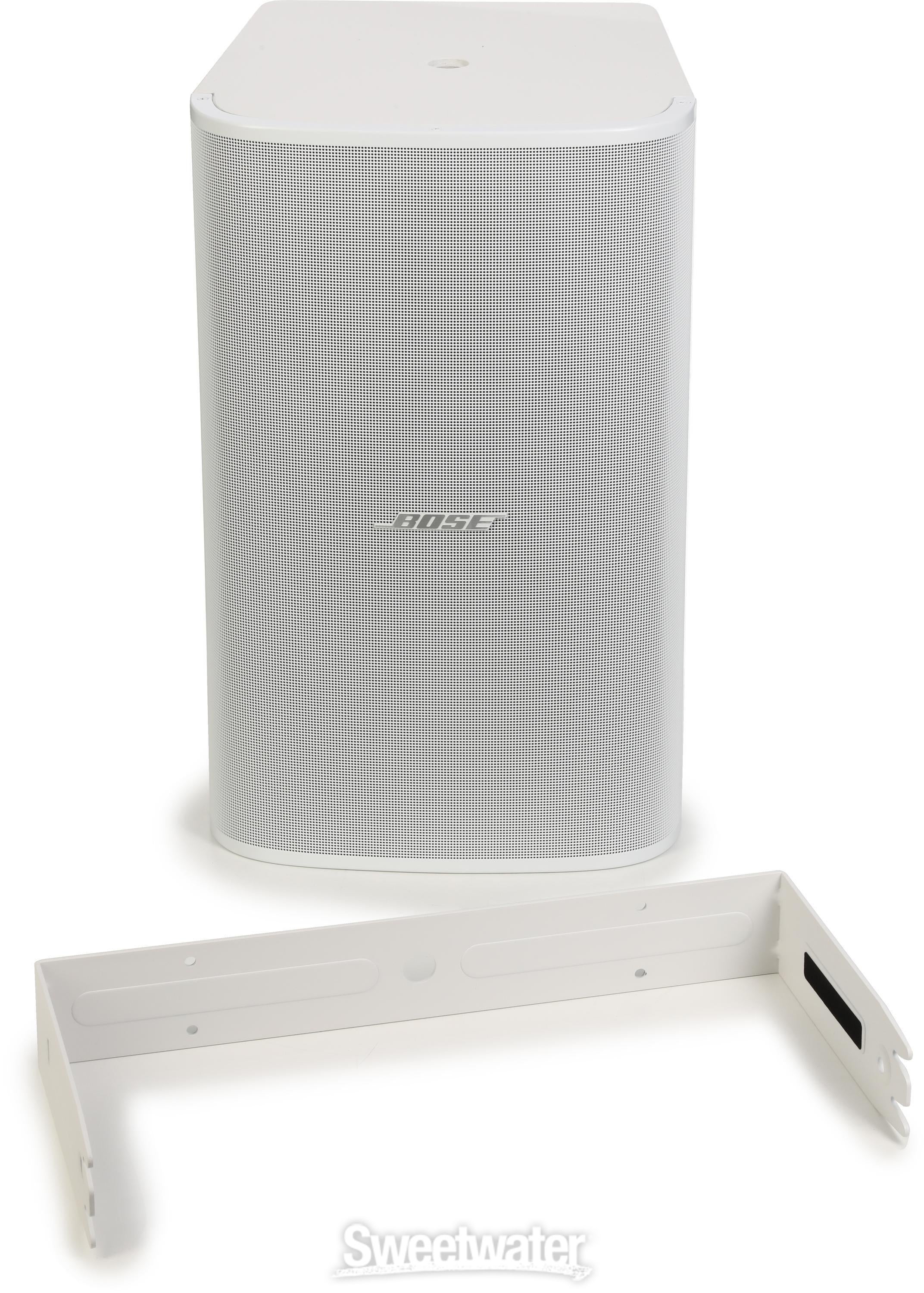 Bose Professional DM10S Surface-mounted Install Subwoofer - White