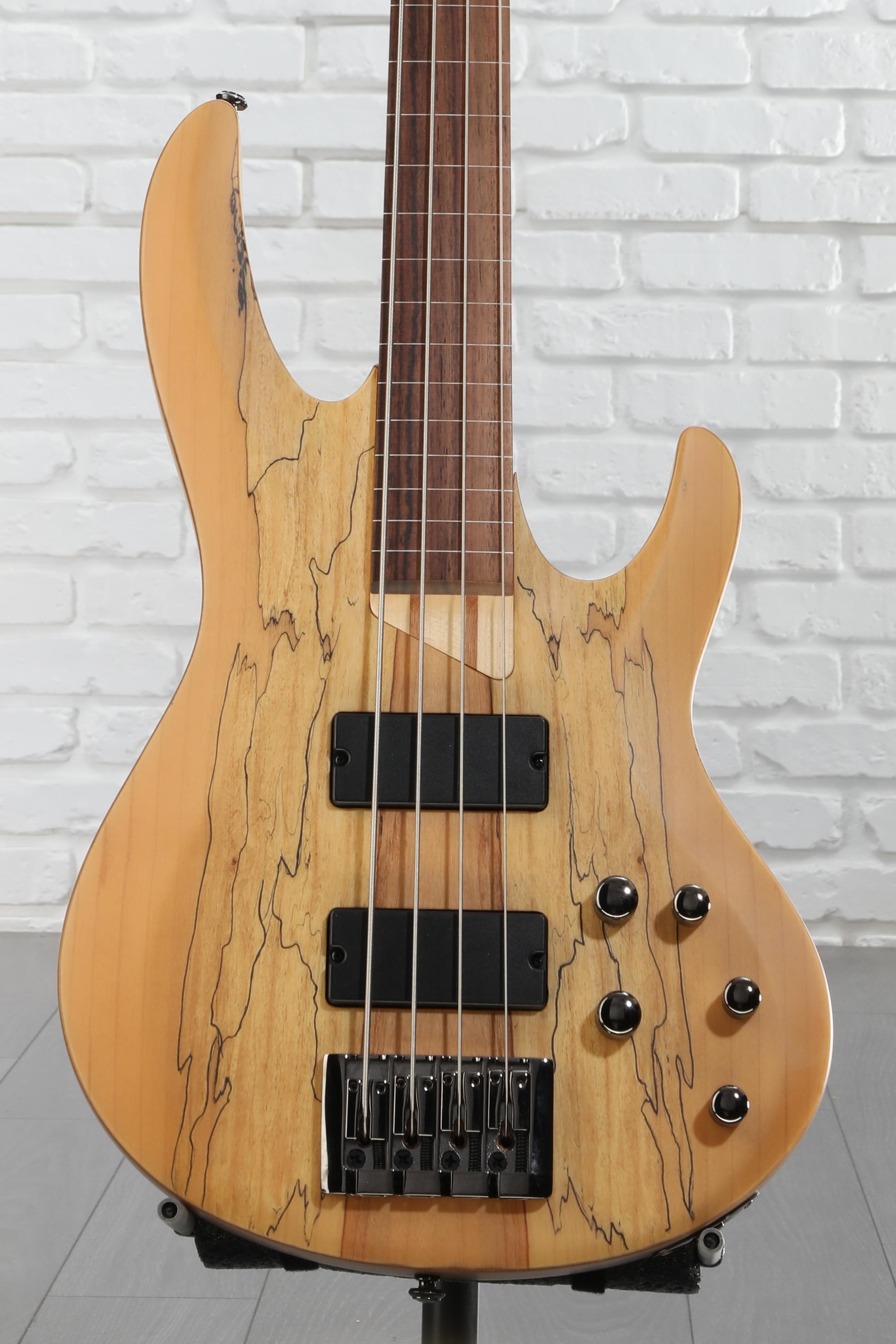 ESP LTD B-204SM Fretless Bass Guitar - Natural Satin | Sweetwater