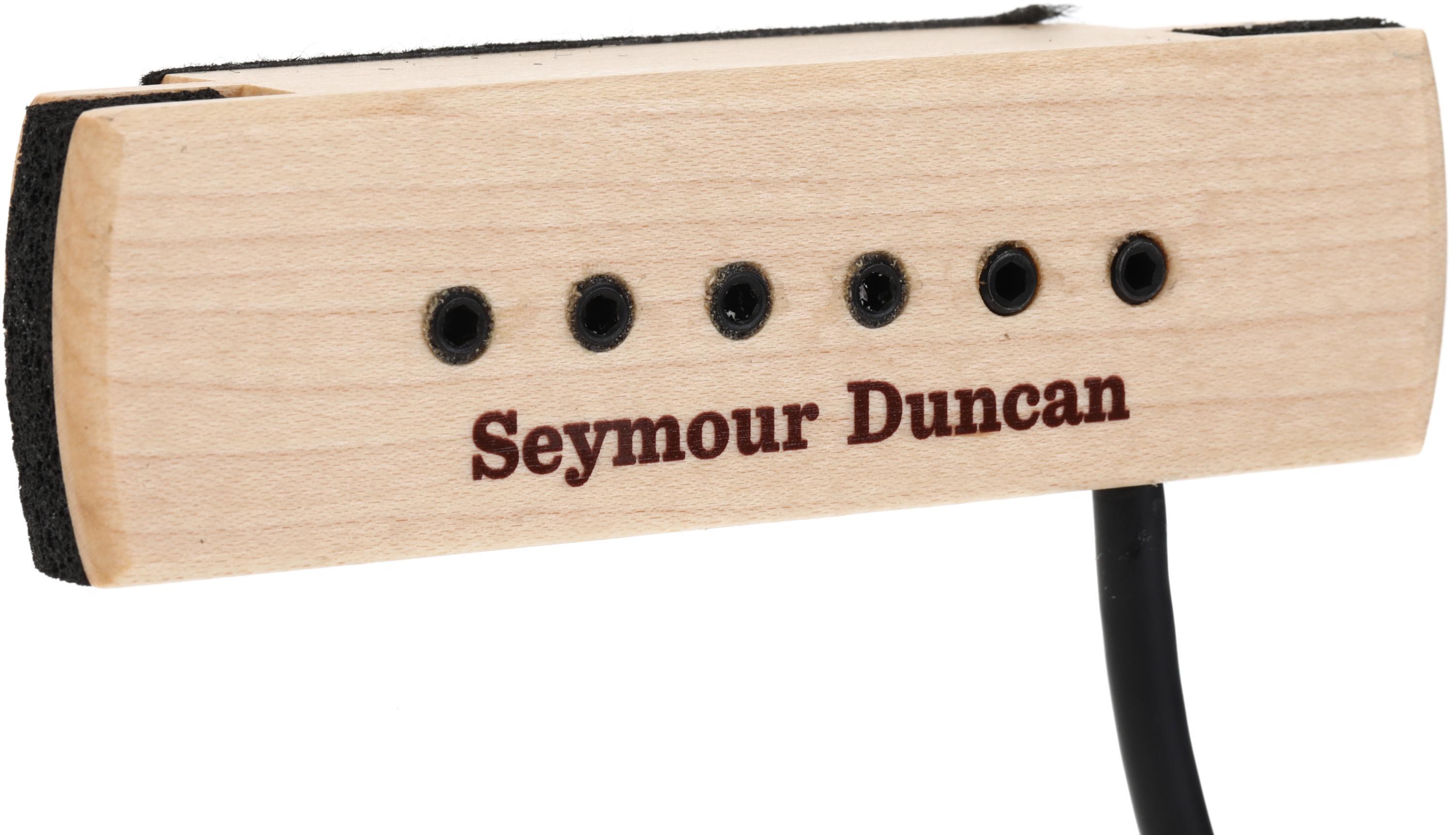 DiMarzio DP138 Virtual Acoustic Soundhole Pickup | Sweetwater