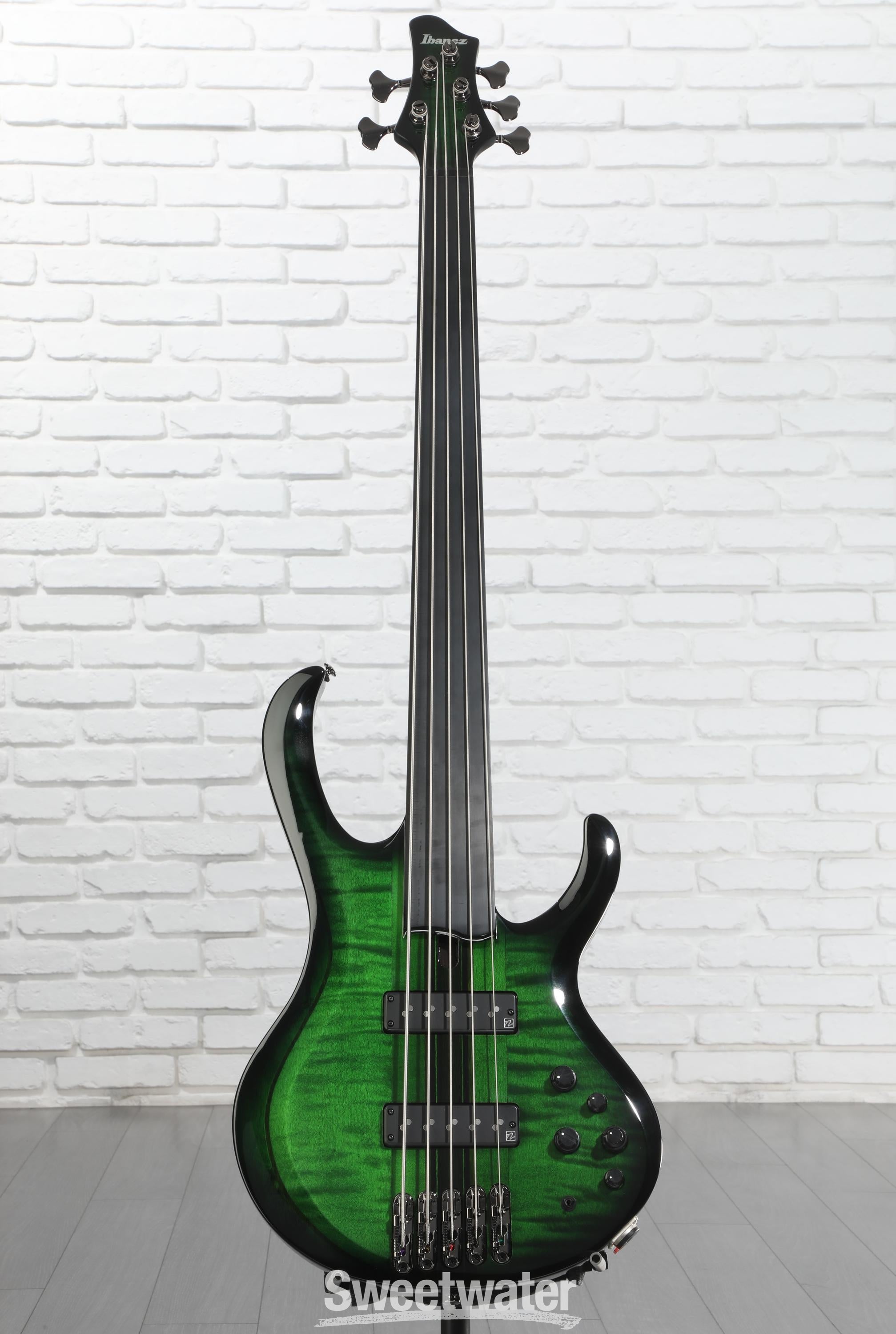 Ibanez Steve Di Giorgio SDGB1 Signature 5-string Fretless Bass