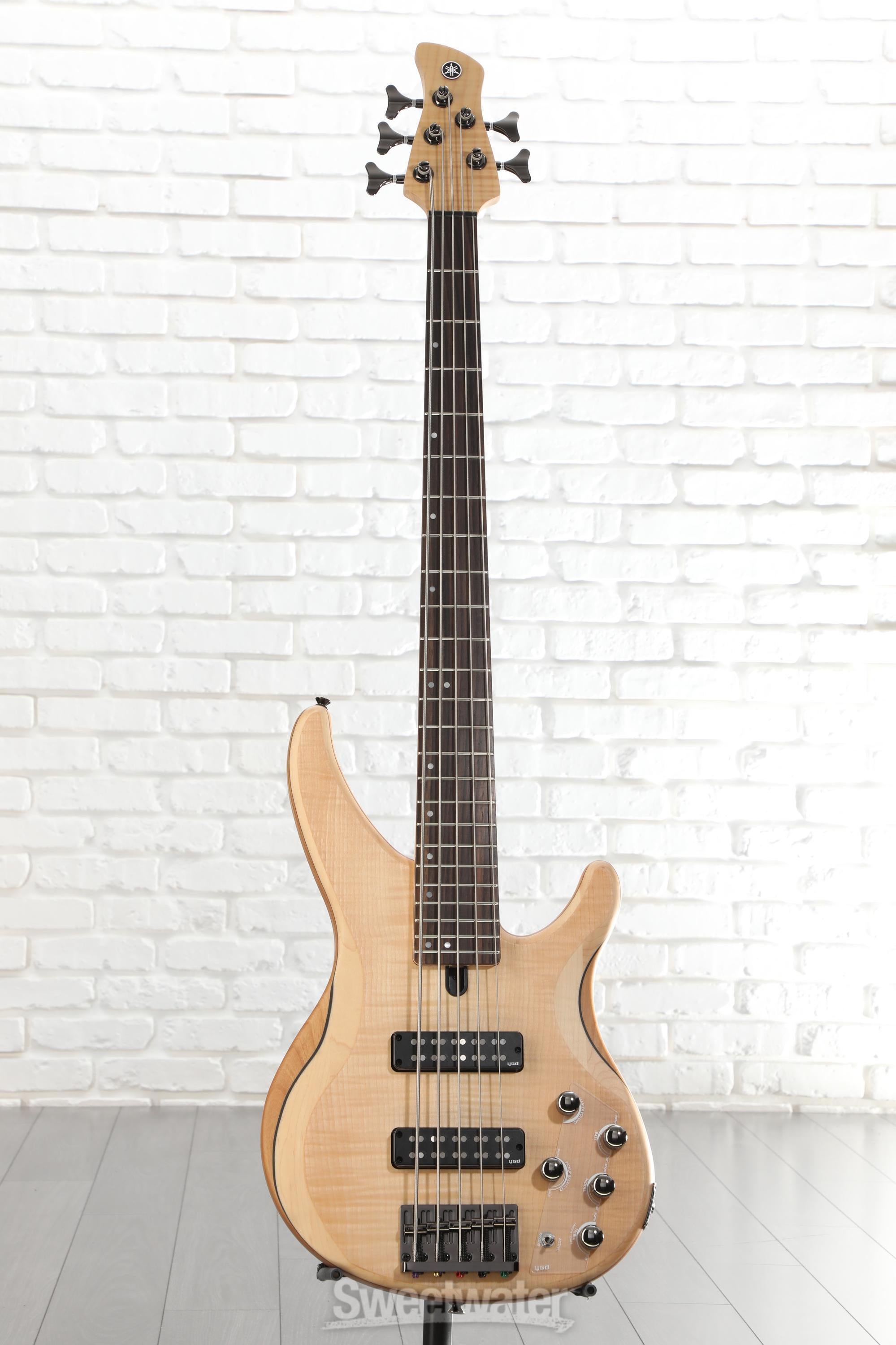 【10905】 YAMAHA TRBX605FM MA 5弦ベース ② Yamaha TRBX605FM 5-String Electric Bass Guitar | Music & Arts