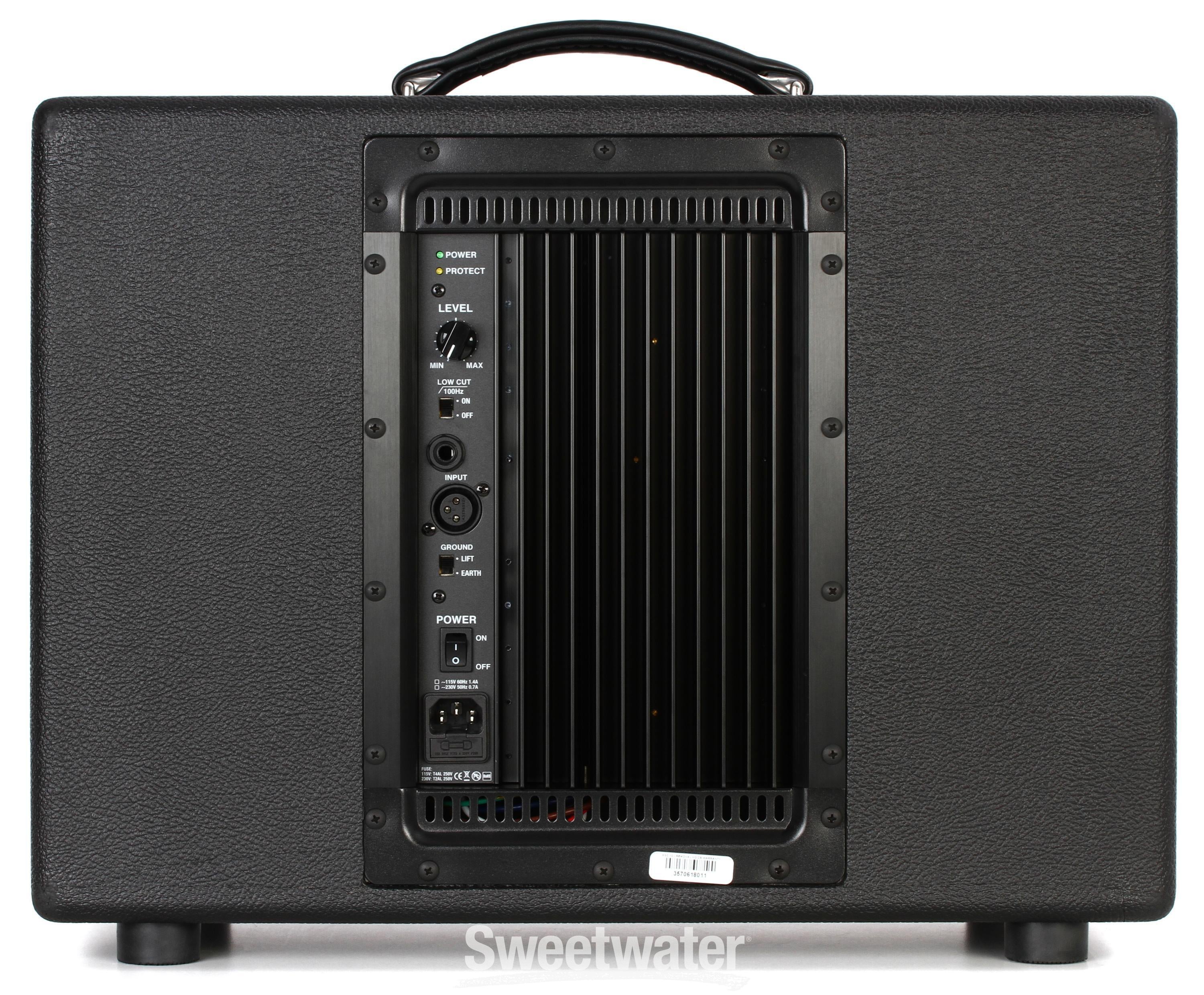 Friedman ASC-10 500-watt Active Modeler/Profiler Monitor