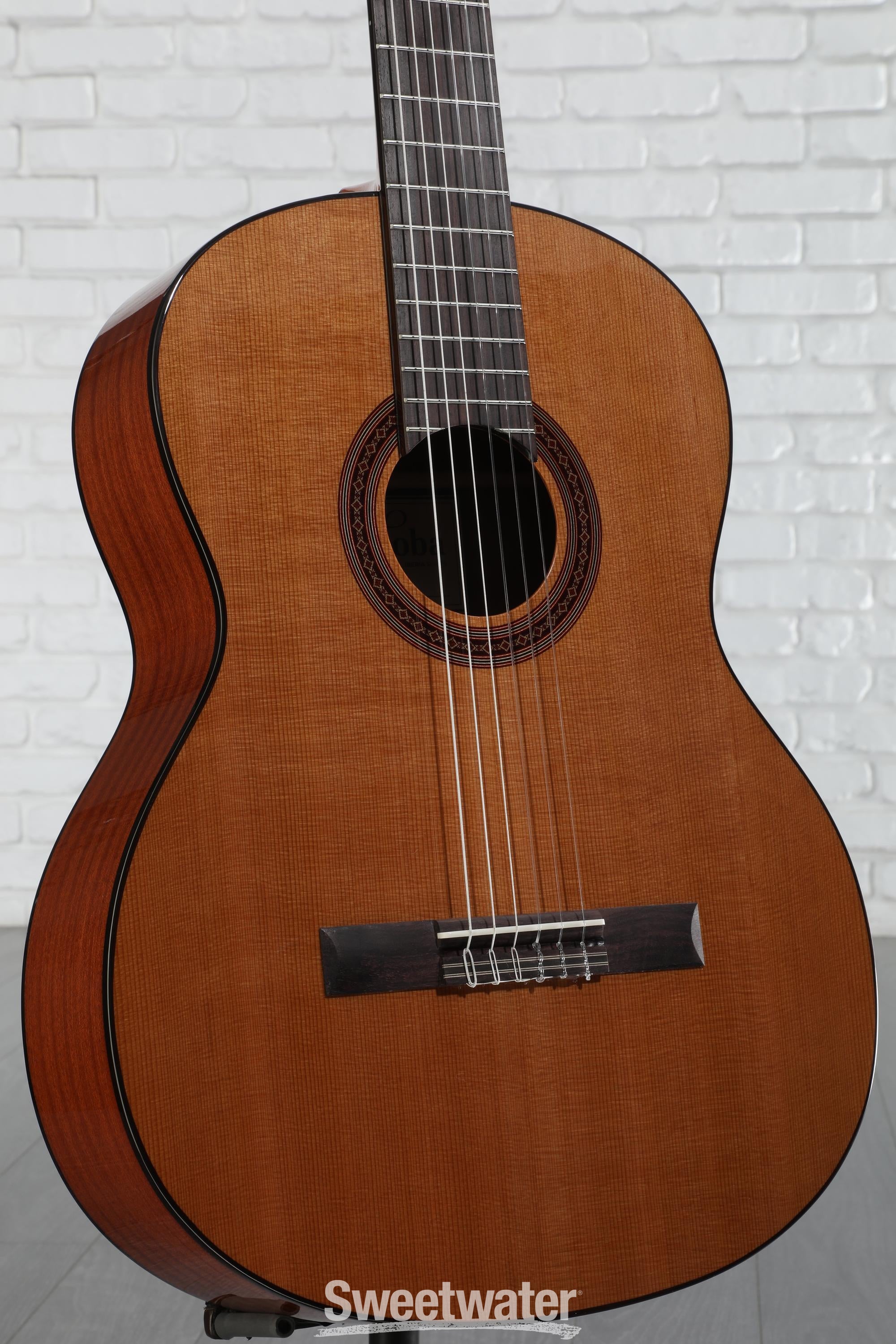 Cordoba C5 Nylon String Acoustic Guitar - Cedar
