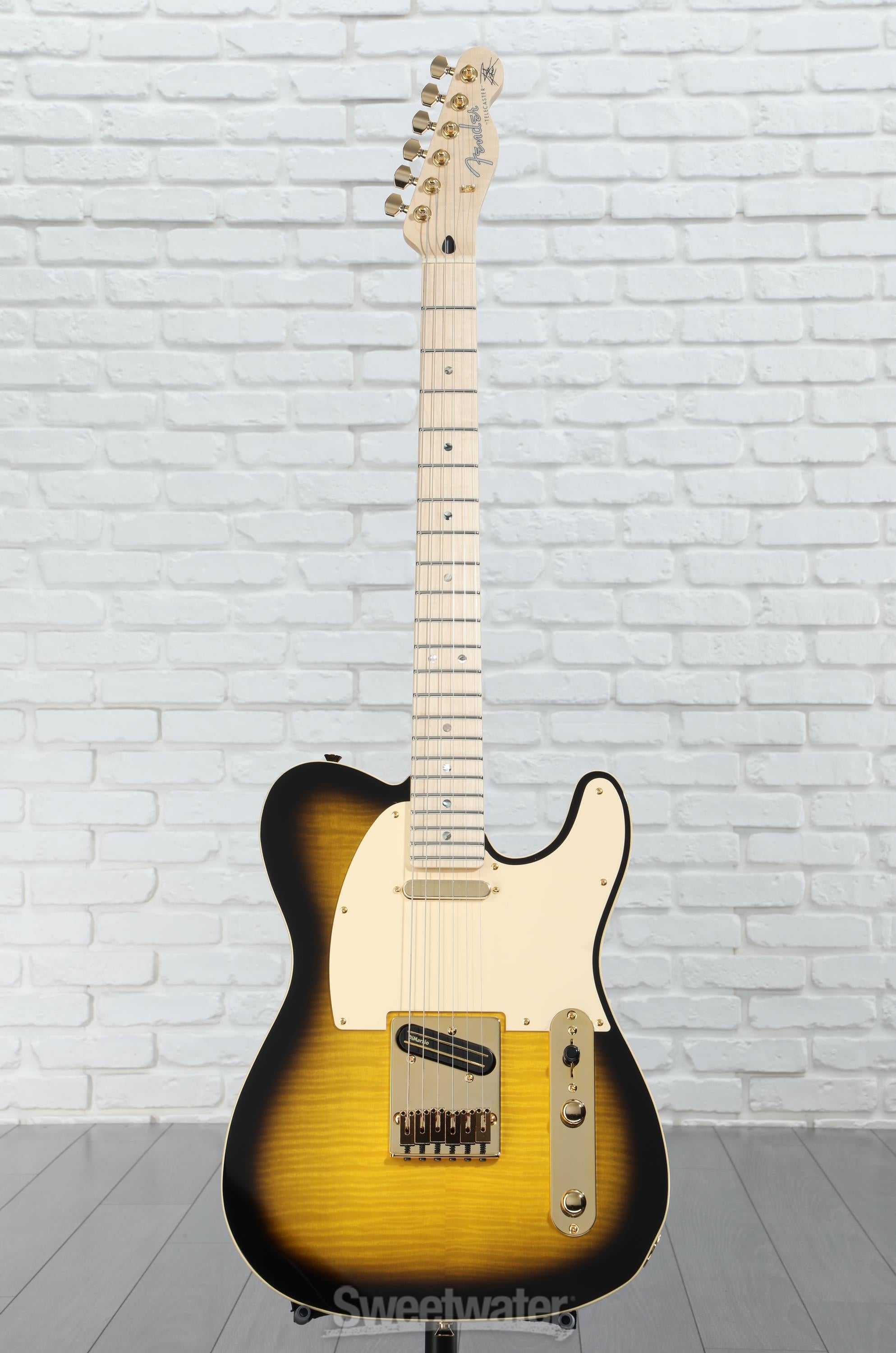 Fender Richie Kotzen Telecaster ®, Maple Fingerboard, Brown