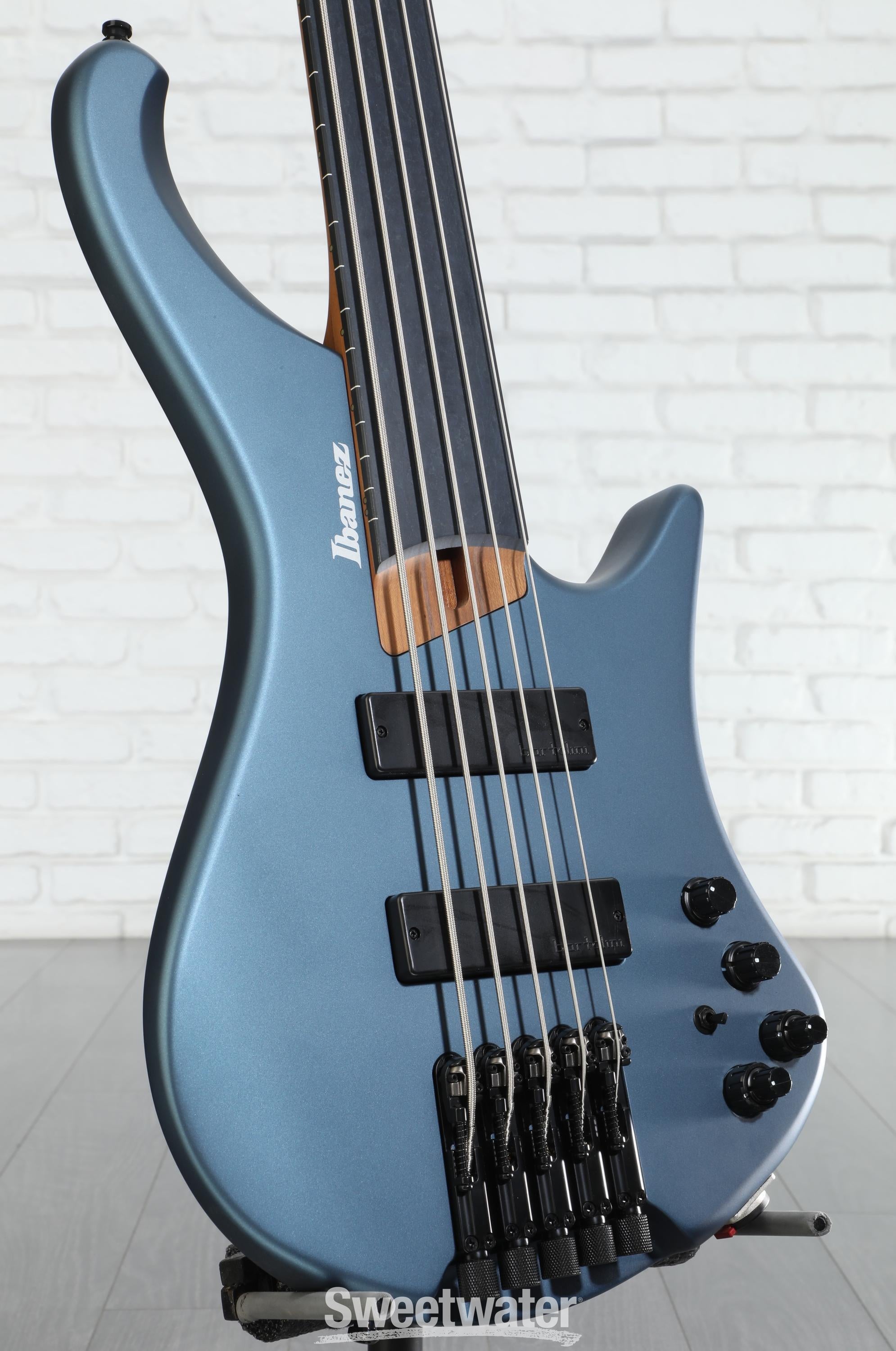 Ibanez Standard EHB1005F Fretless 5-string Bass Guitar - Arctic Ocean Matte